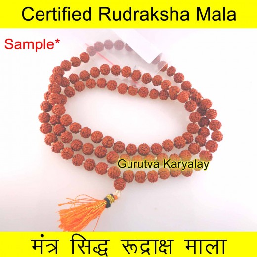 6 MM 5 Mukhi Rudraksha Mala Lab Certified